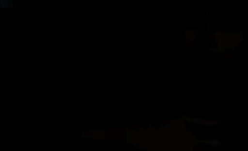 L0ngMint9 Mega Compilation