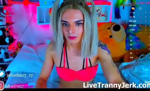 chrisparker trans webcam