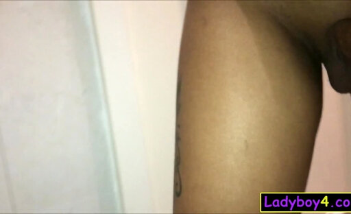 Big tits and ass ladyboy girlfriend porn video made in a bathroom